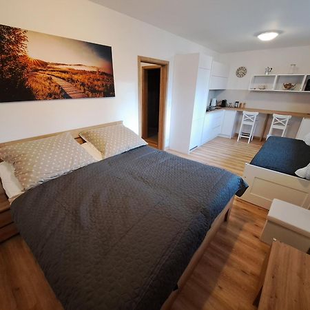 Apartmany - Male Lipno Černá v Pošumaví المظهر الخارجي الصورة