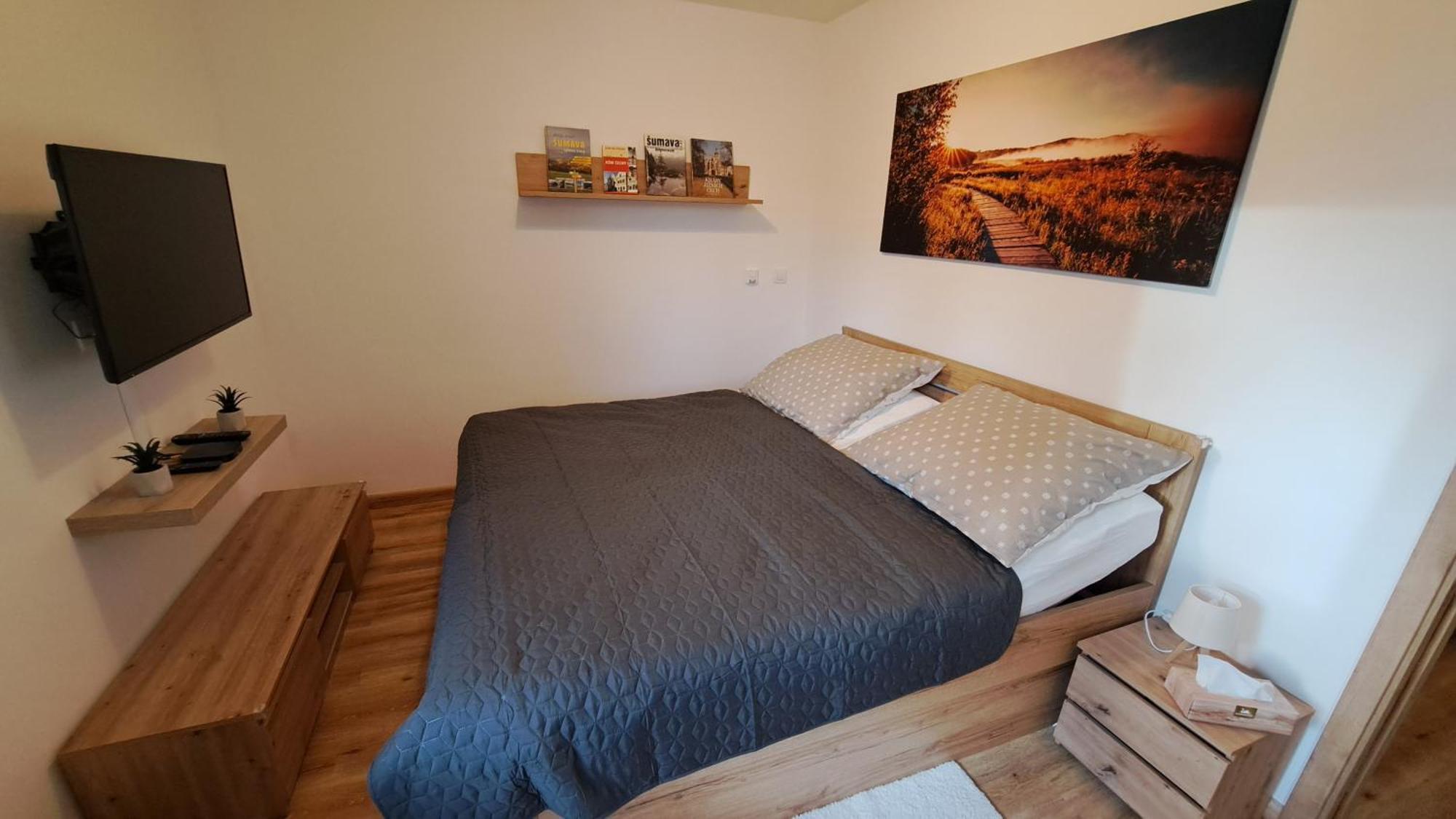 Apartmany - Male Lipno Černá v Pošumaví المظهر الخارجي الصورة